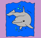 Dibujo Delfín pintado por lara