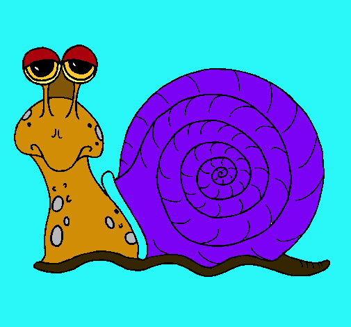 Caracol