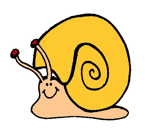 Caracol 