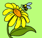 Dibujo Margarita con abeja pintado por erica