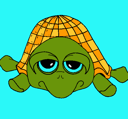 Tortuga