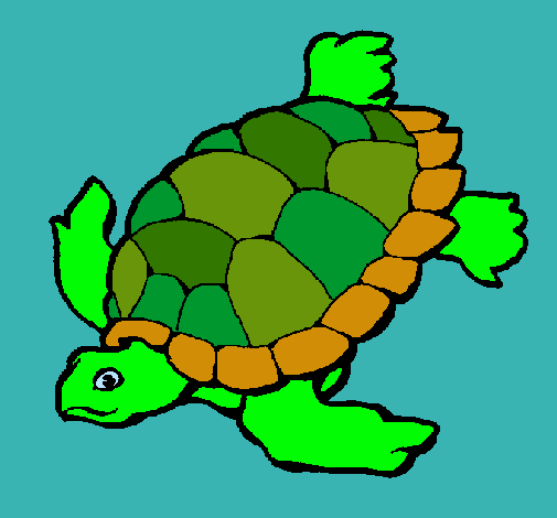 Tortuga