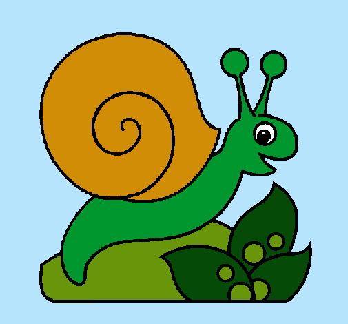 Caracol