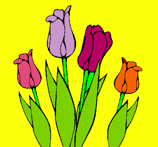 Tulipanes