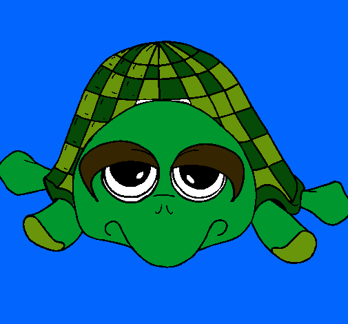 Tortuga