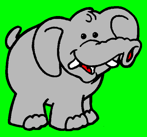 Elefante