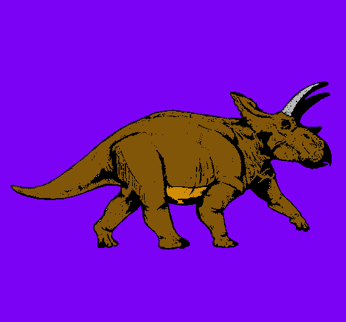 Triceratops