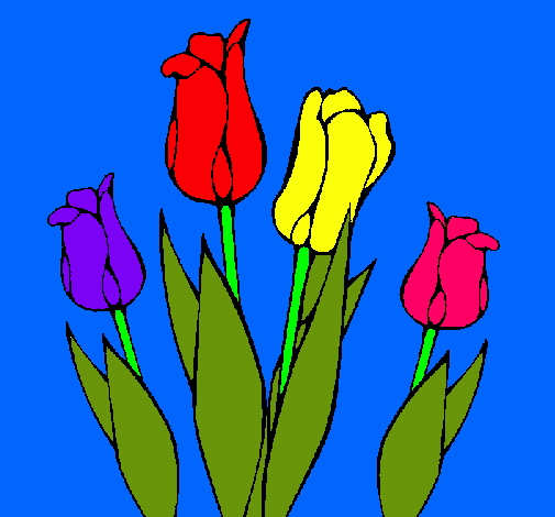 Tulipanes