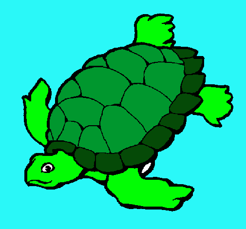 Tortuga