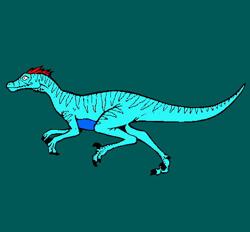 Velociraptor