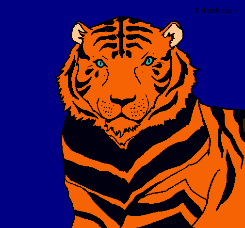 Tigre