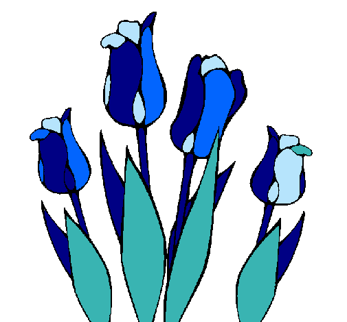 Tulipanes