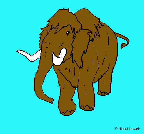 Mamut II