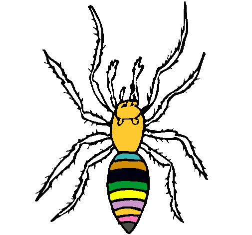 Araña tigre