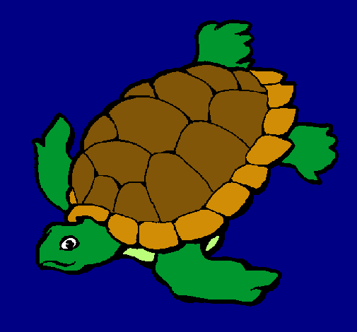 Tortuga