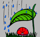 Dibujo Mariquita protegida de la lluvia pintado por aldana_la.12@hotmail.com