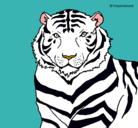 Dibujo Tigre pintado por carlyy