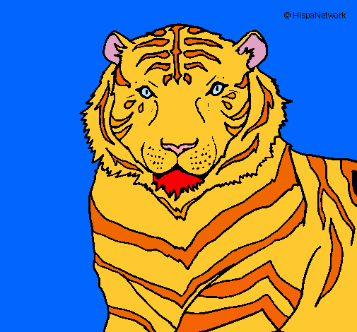 Tigre