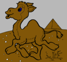 Dibujo Camello pintado por domini
