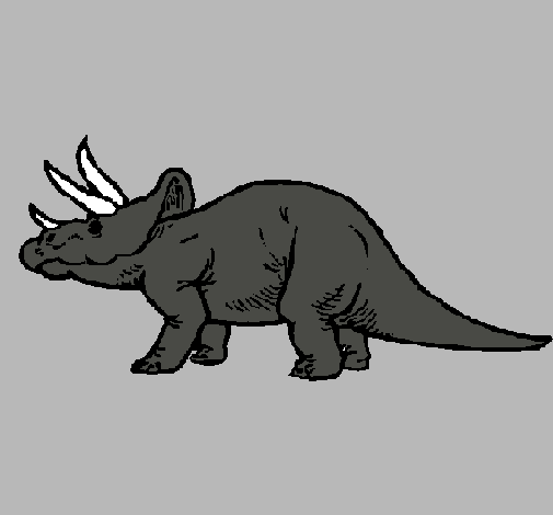 Triceratops