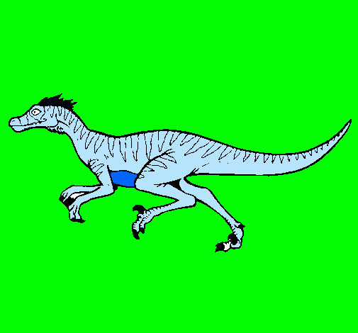 Velociraptor