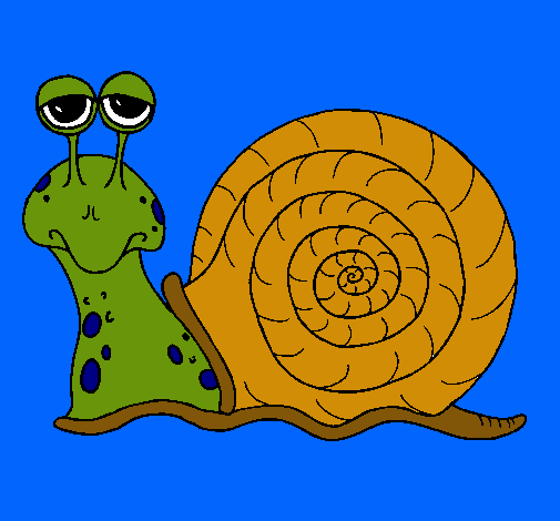 Caracol