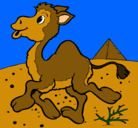 Dibujo Camello pintado por mauri