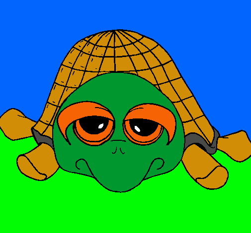 Tortuga