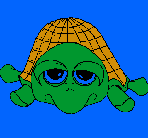 Tortuga