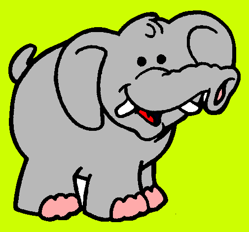 Elefante