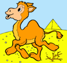 Dibujo Camello pintado por rosybeth