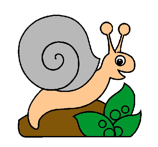 Caracol