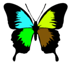 Dibujo Mariposa con alas negras pintado por Carolina