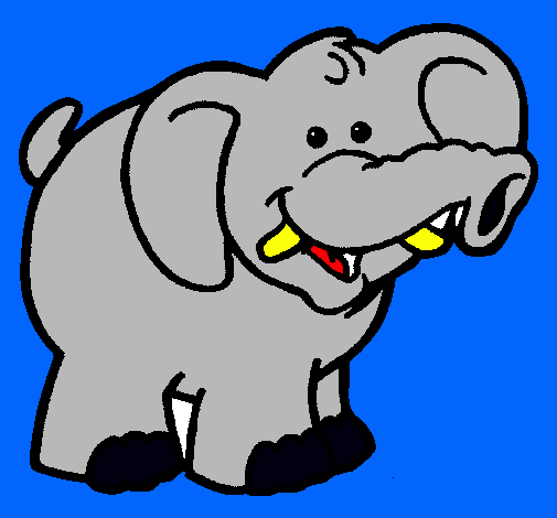 Elefante