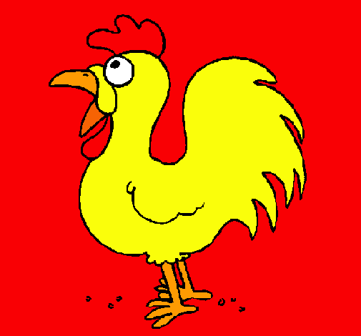 Gallo de granja