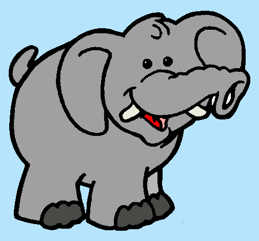 Elefante