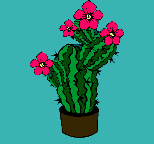 Flores de cactus