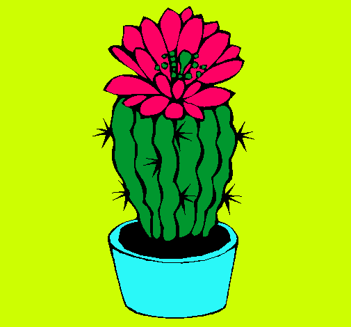 Cactus con flor