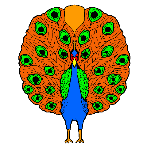 Pavo real