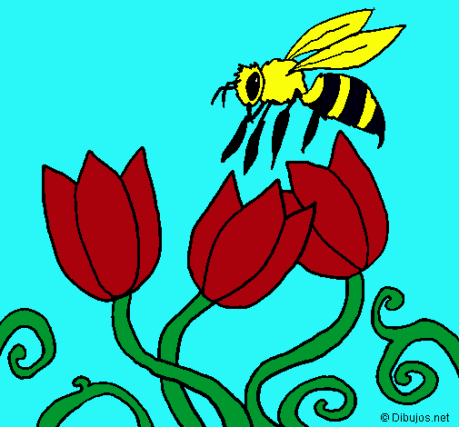 Abeja