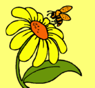 Dibujo Margarita con abeja pintado por JENNY20