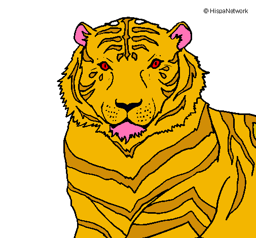 Tigre