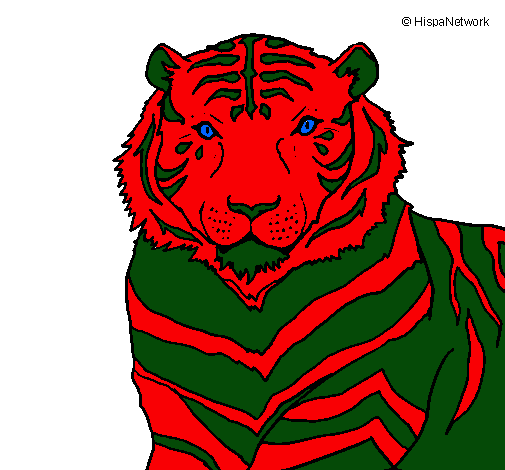 Tigre