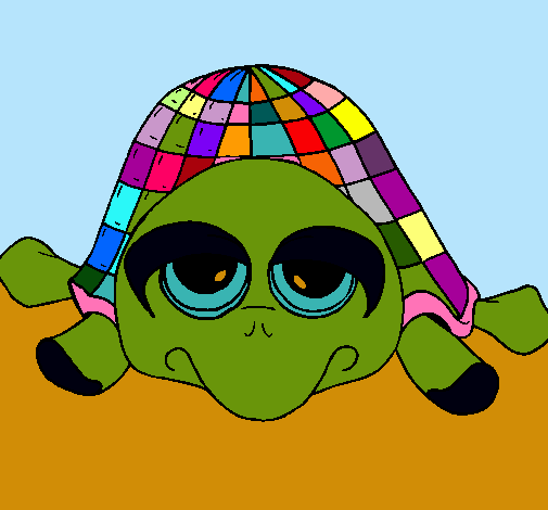 Tortuga