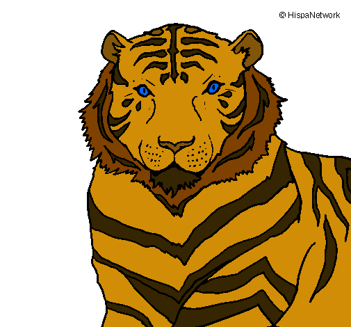 Tigre