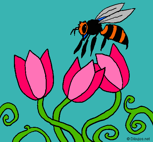 Abeja