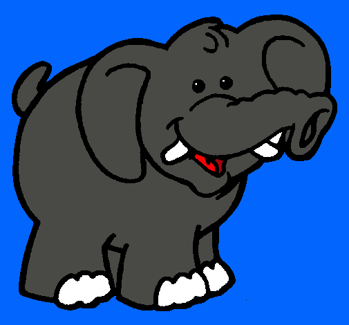 Elefante