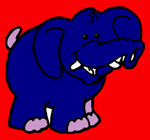 Elefante