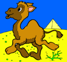 Dibujo Camello pintado por jesika