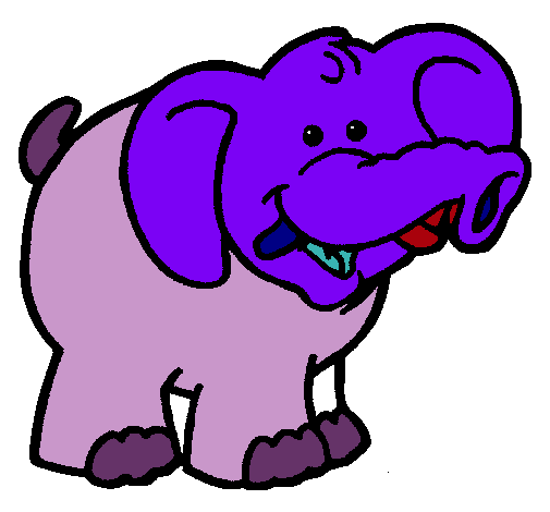 Elefante